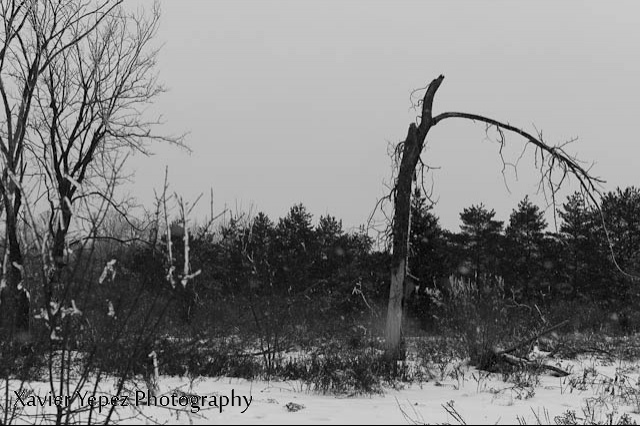Ottawa outskirts 2