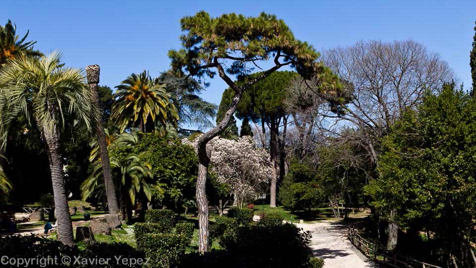 Villa Sciarra is a park in Rome named for the villa at its centre.