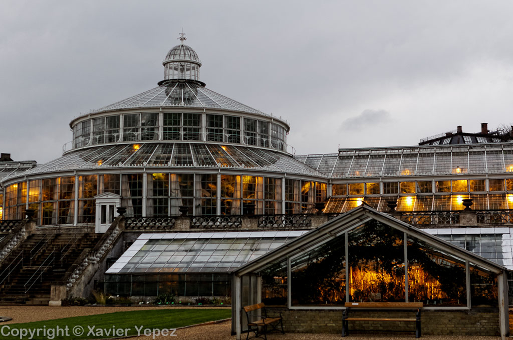 Copenhagen, Denmark - Botanical Garden - glasshouse