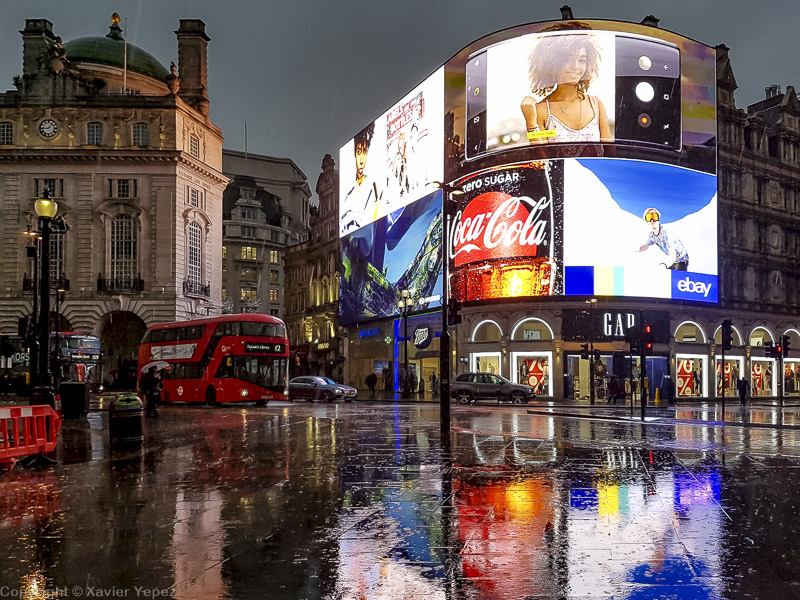 Piccadilly Circus in the rain